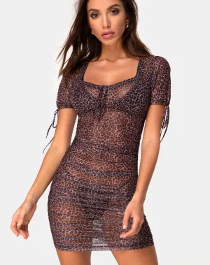 Guenetta Dress in Rar Leopard Mesh