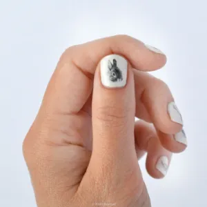 Nail transfer: Rabbits